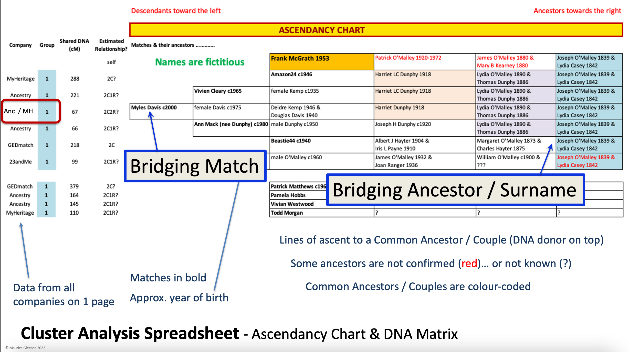 Top Tips for Managing Your DNA Matches Ireland Reaching Out